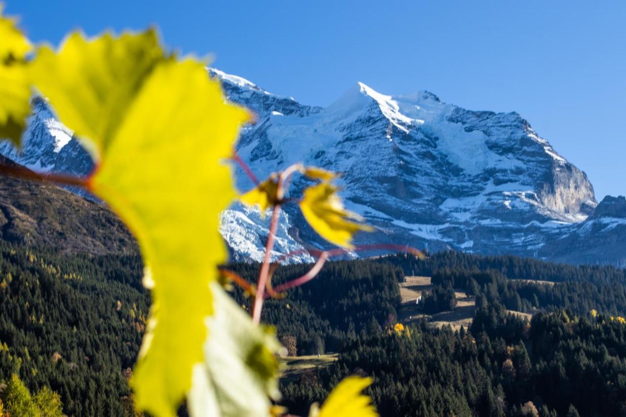 Chalet Aargovia South Wengen Exterior foto